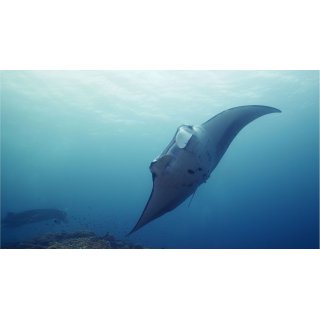 Oceans Picture 3