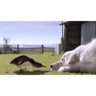 Oddball (2016)