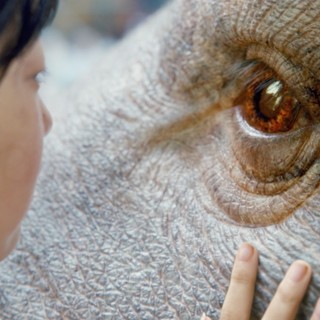 Okja Picture 10