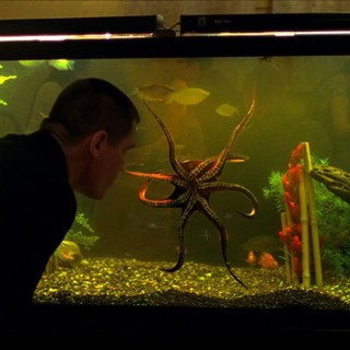 Oldboy Picture 12