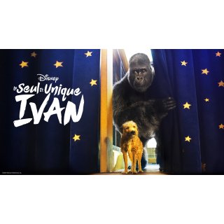 One And Only Ivan, The Picture 2