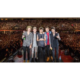 One Direction: Where We Are - The Concert Film (2014)