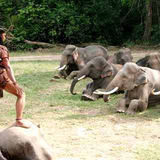 A scene from Magnolia Pictures' Ong Bak 2 (2009)