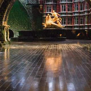 Harry Potter And The Order Of The Phoenix Picture 32