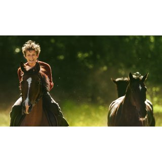 Out Stealing Horses Picture 3
