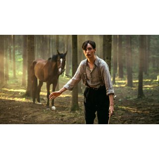 Out Stealing Horses Picture 4