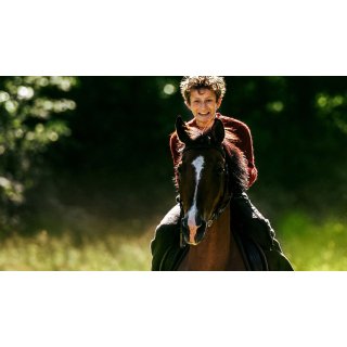 Out Stealing Horses Picture 8