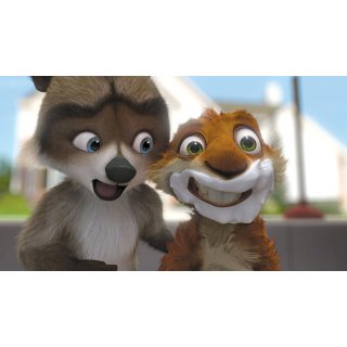 Over The Hedge Picture 9