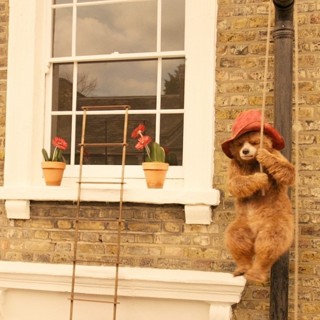 Paddington 2 Picture 2