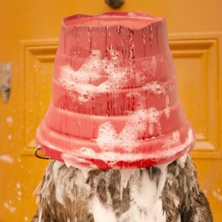 Paddington 2 Picture 3