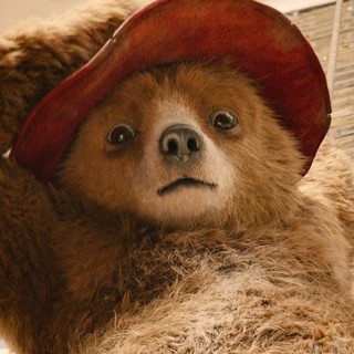 Paddington 2 Picture 4