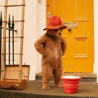 Paddington 2 Picture 5