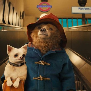 Paddington Picture 28
