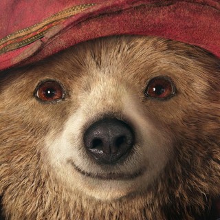 Paddington Picture 3