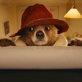 Paddington Picture 16