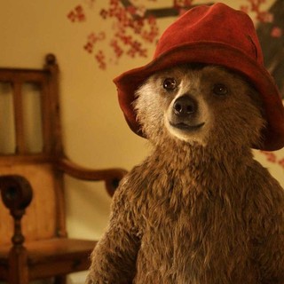 Paddington Picture 19