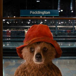 Paddington Picture 20