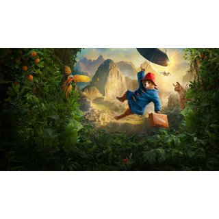 Paddington In Peru Picture 1