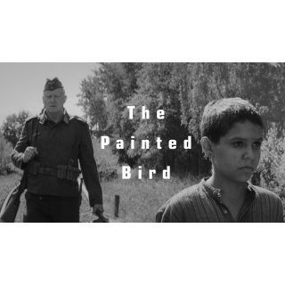 Painted Bird, The Picture 1
