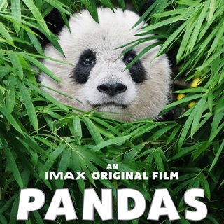 Poster of Warner Bros. Pictures' Pandas (2018)