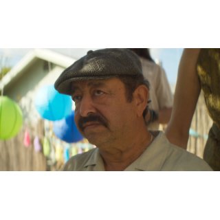 Papi Chulo (2019)