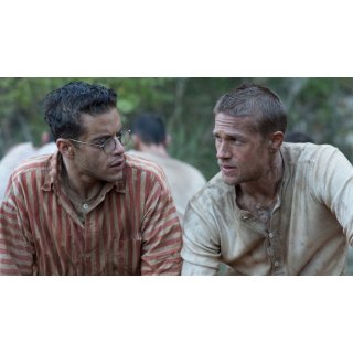 Papillon Picture 7