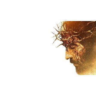 Passion Of The Christ, The Picture 6