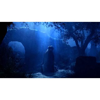 Passion Of The Christ, The Picture 10