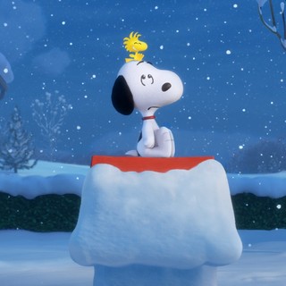 Peanuts Picture 32