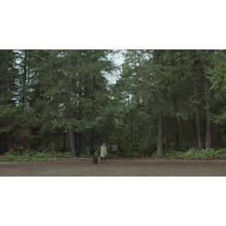 People Garden, The Picture 1