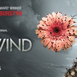 Poster of Lifetime's Petals on the Wind (2014)