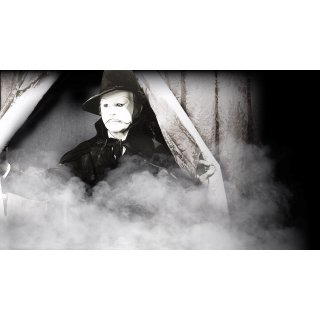 Phantom of the Opera (1970)