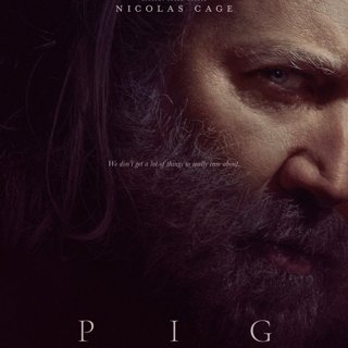 Pig Picture 2