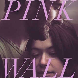 Poster of Dignity Film's Pink Wall (2019)