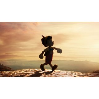 Pinocchio Picture 6