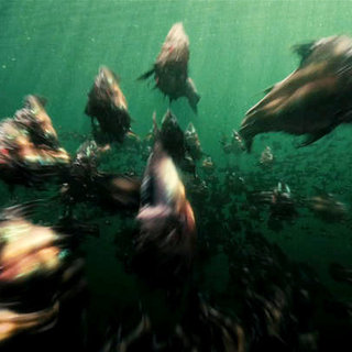 Piranha 3-D Picture 18