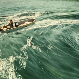 Piranha 3-D Picture 31