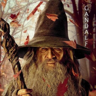 Hobbit: An Unexpected Journey, The Picture 96