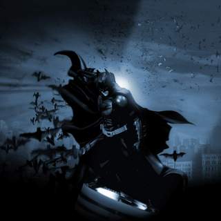 The Dark Knight Picture 37