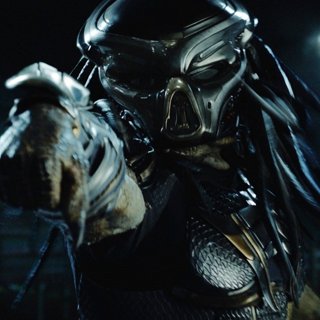 The Predator Picture 1