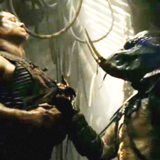 Predators Picture 1