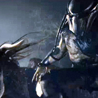 Predators Picture 3