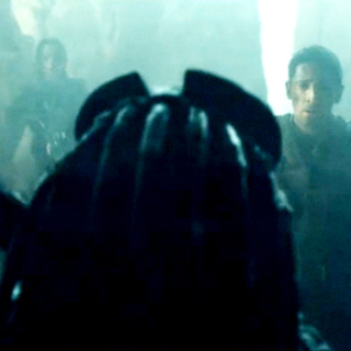 Predators Picture 10