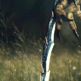 Predators Picture 14