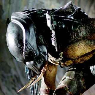 Predators Picture 42
