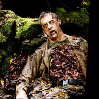 Predators Picture 47