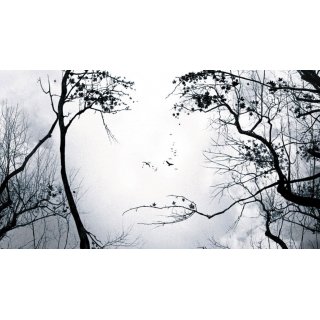 Premonition (2007)