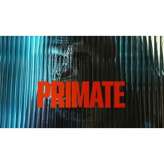Primate Picture 4