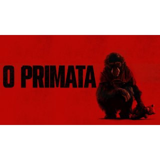 Primate Picture 6