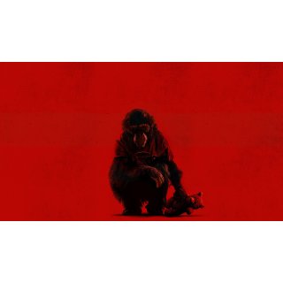 Primate Picture 8